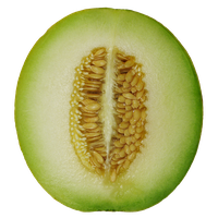 Cantaloupe Half Free Download PNG HQ