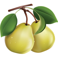 Fresh Green Pears Free Download Image
