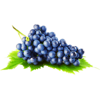 Grapes Free Clipart HD