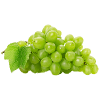 Green Grapes Free Download PNG HD