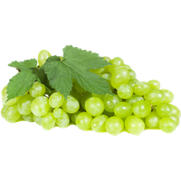 Pic Green Grapes Free Download Image