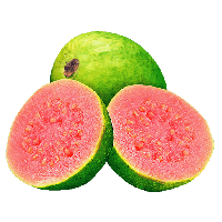 Guava Free Transparent Image HQ