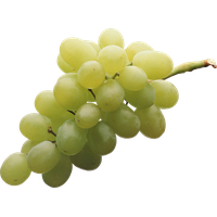 Green Juicy Grapes PNG Image High Quality