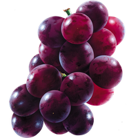 Grapes Red Download HQ