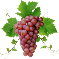 Photos Grapes Red Free Transparent Image HQ