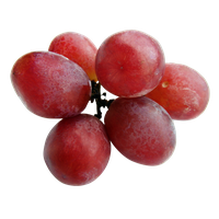 Grapes Red Download Free Image