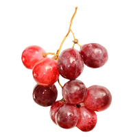 Grapes Red Free Download Image