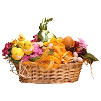 Basket Fresh Fruit Download HQ