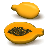 Fresh Papaya Half PNG Download Free